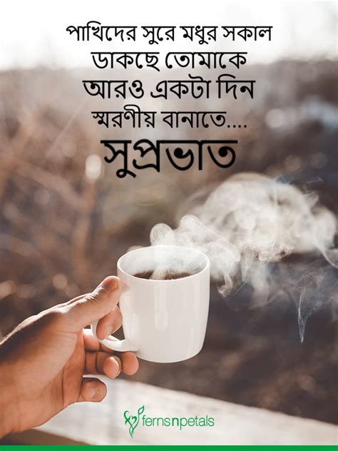 100+ Good Morning Wishes in Bengali With Unique Quotes.